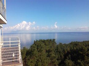 Отель Apartament Przy Plaży  Дзивнувек